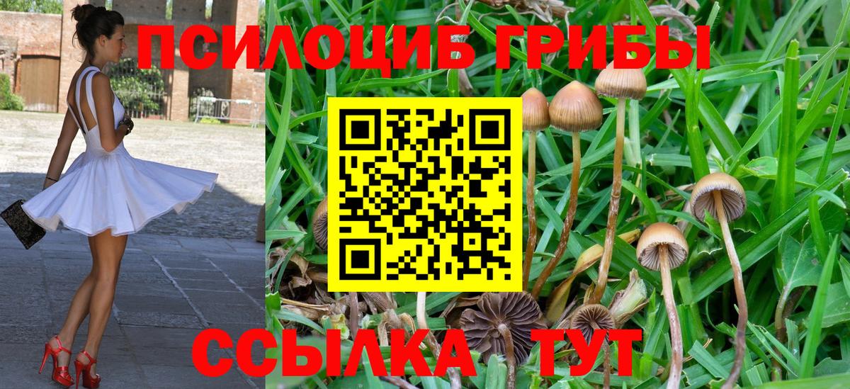 Галлюциногенные грибы Magic Shrooms  Вход с VPN  Еманжелинск 
